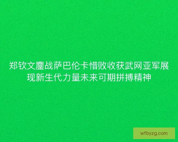 郑钦文鏖战萨巴伦卡惜败收获武网亚军展现新生代力量未来可期拼搏精神